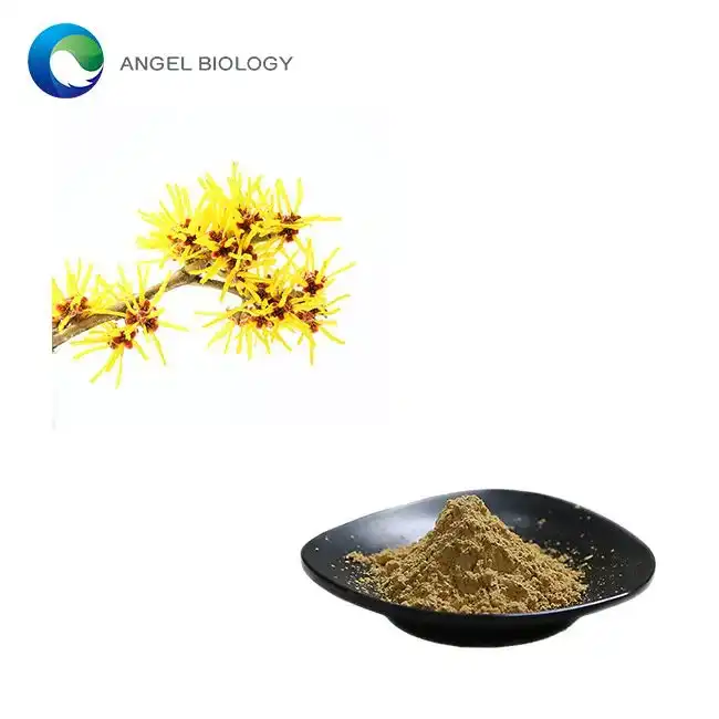 Hamamelis Virginiana Extract